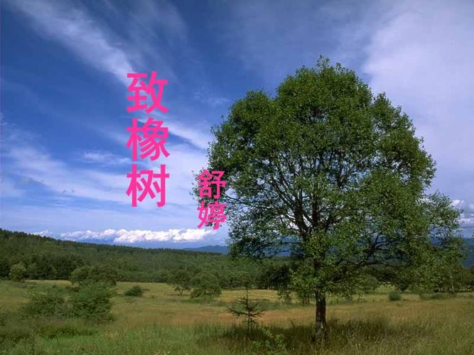 致橡树-(课堂ppt)