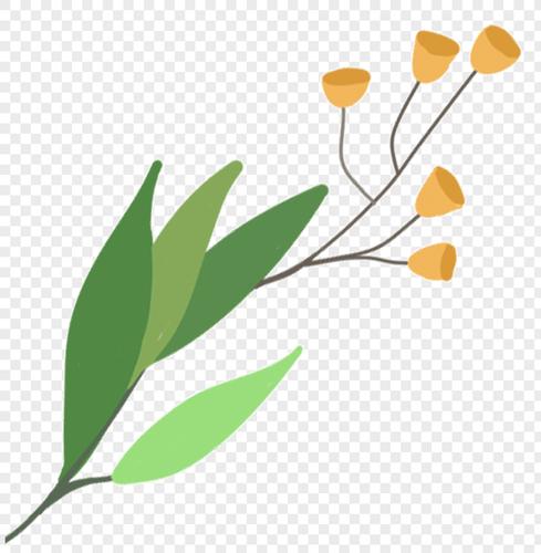 qq好友 微信朋友圈 qq空间 新浪微博  花瓣 举报 标签: 卡通叶子卡通