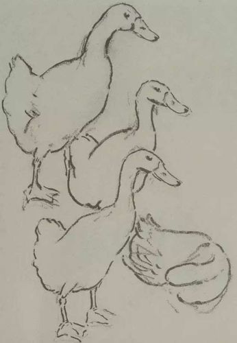 悲鸿素描鸭