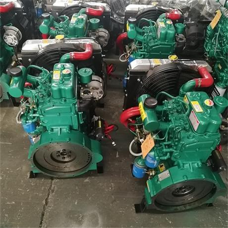 潍柴40马力两缸柴油机2110双缸柴油发动机