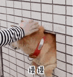 30个摸头杀表情包丨没事摸下头 万事不用愁!