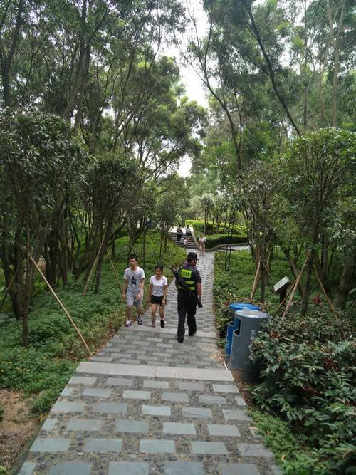 组结合深圳市环境卫生指数测评工作,对6月份32个点中的固戍海滨公园