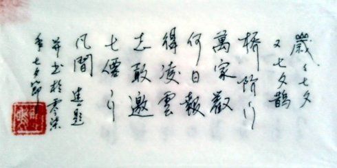 我的打油诗6首
