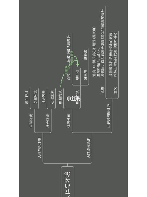 【生理学】思维导图(绪论)_代谢_新陈代谢_甲状腺_分娩_减压_文化