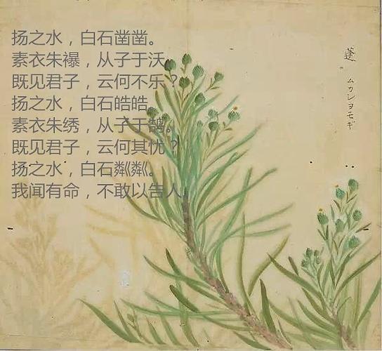 116扬之水之叛我吟诗经十国风唐风