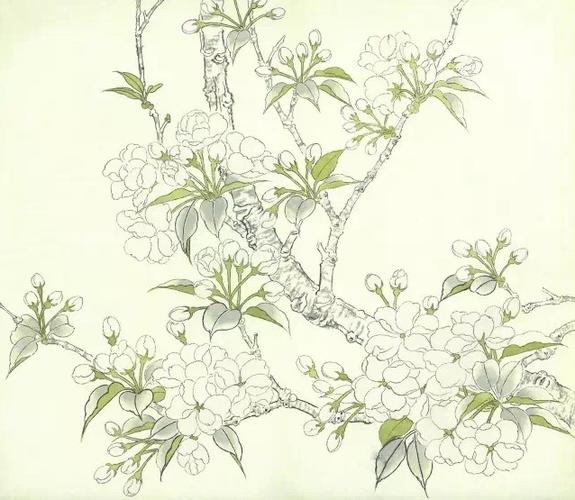 工笔海棠步骤画法