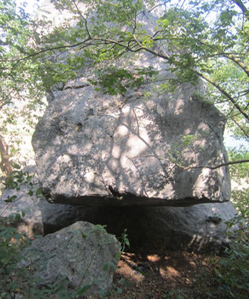 奇山石"里太村狮子石"图片展