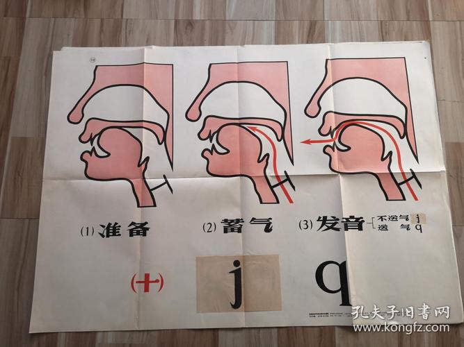 汉语拼音字母发音示意图解(16开 馆藏)