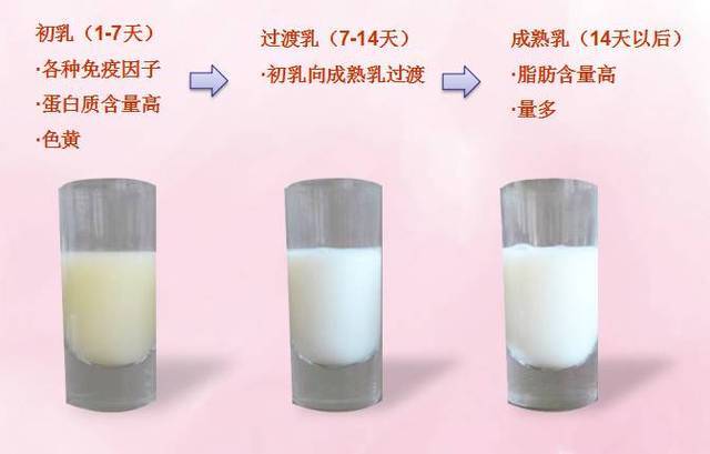 母乳解冻后可保存24小时,可将盛奶的容器放在温水中快速解冻,不需要