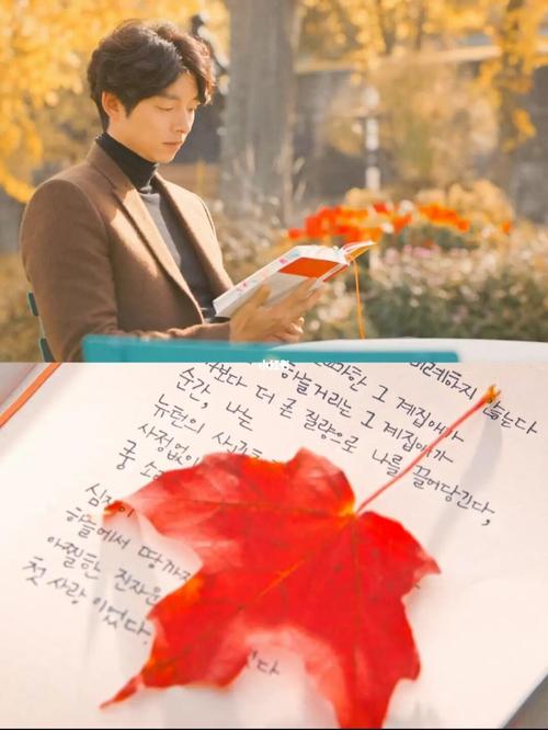 枫叶_韩剧_济南攻略_新娘_冬天去哪玩_孤独又灿烂的神鬼怪_影视_电视