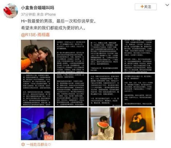 r1se塌房现状11人塌9座房剩下的赵磊刘也你们还撑得住吗