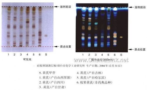 黄芪-不同薄层板薄层色谱图的比较(5)