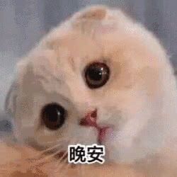 套路人晚安表情包