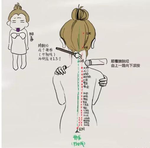 所以,膀胱经是女人