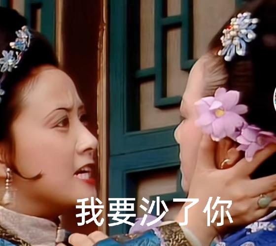 我真的好爱红楼梦,红楼梦暴躁沙雕表情包大家会喜欢吗?