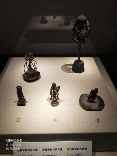 深圳博物馆旅游记(一)