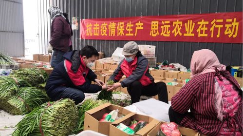 【皇城镇抗疫先锋榜】一个入选"中国好人榜"的农民企业家的战"疫"担当