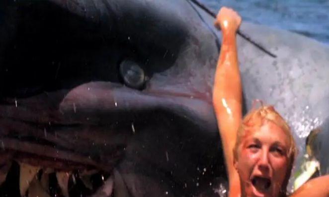 世界烂片的巅峰连拍了四部,性感美女是唯一看点|夺命