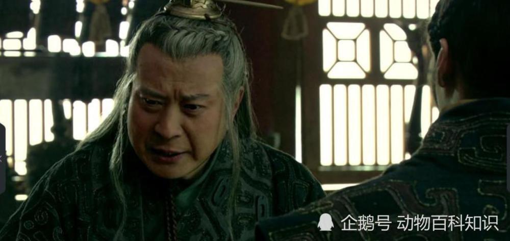 子婴是什么样的身份,为什么赵高和胡亥都没对付他