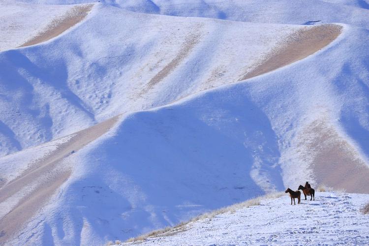 伊犁河谷,冬季最美的雪景