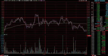 股票行情软件上为什么看不到50etf期权行情