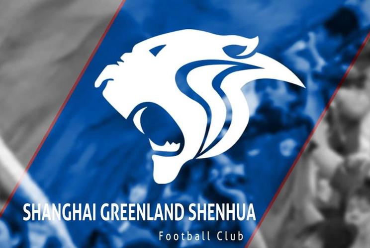 山东鲁能,上海申花,广州恒大,武汉卓尔,上海上港