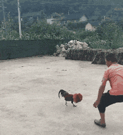 搞笑gif段子带它出来跑步去