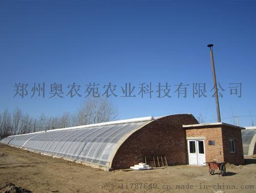 河南冬暖土墙式日光温室大棚