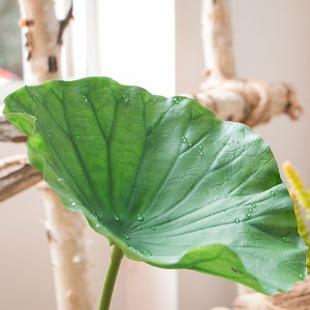 高品质pe手感仿真荷花荷叶莲蓬头带长杆手工绿植仿真花装饰花插花