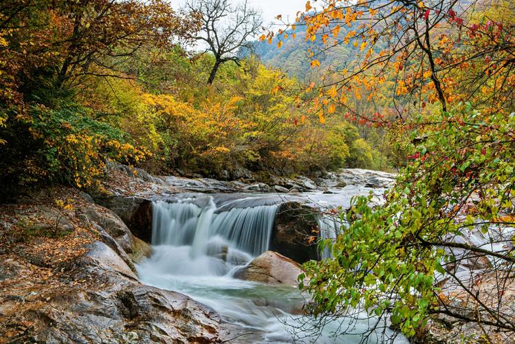 梦幻黄柏塬 写美篇黄柏塬风景区位于陕西省宝鸡市太白县,总面积896