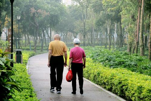 两位老夫妻经常早上去晨练