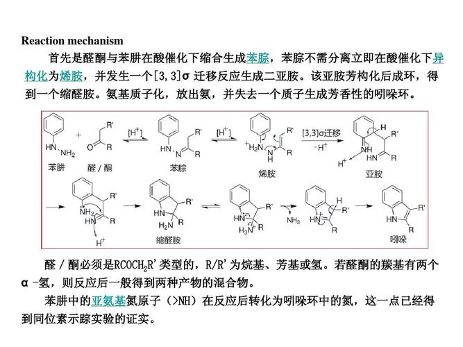 氨基质子化,放出氨,并失去一个质子生成芳香性的吲哚环.