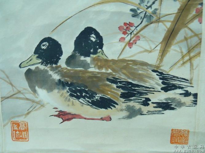 高什么东东鸭子戏水