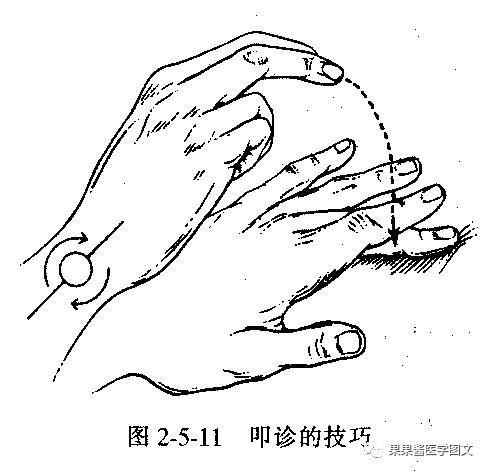 吸气,呼气相均可触及,如皮革互相摩擦 部位:胸廓前下侧部 肺部叩诊