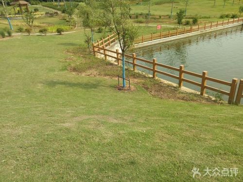 凤凰山湿地公园-图片-无锡周边游-大众点评网