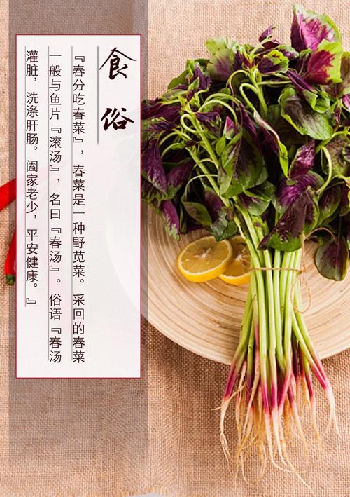 春分习俗—吃春菜