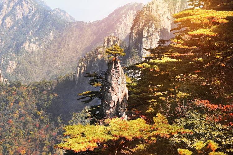 黄山秋天的颜色