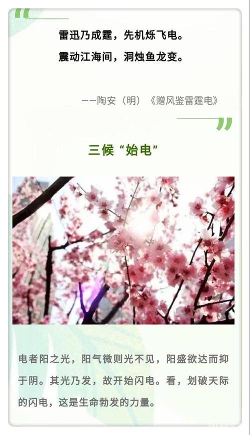 写美篇  中国古代将春分分为三候:"一候元鸟至,二候雷乃发声,三候始电