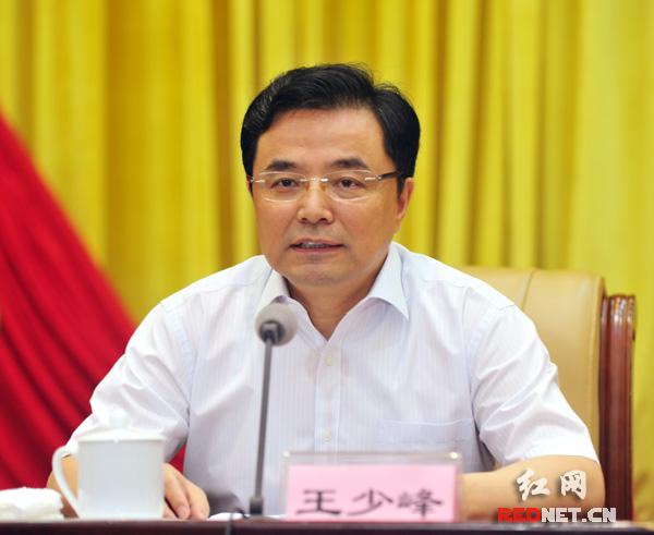 湖南省委常委,省委组织部部长王少峰出席并讲话.汤伟 摄