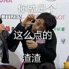 柚子表情包