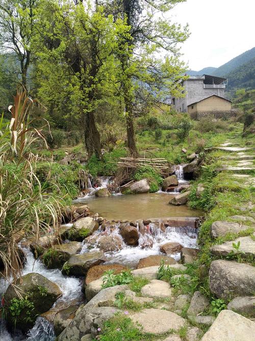 武夷山下__大坞村