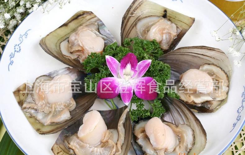 烧烤酒店专用 半壳江江瑶贝水产品冷冻食品