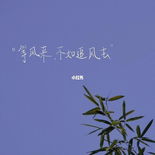 "等风来,不如追风去"_手写_素材_文字素材