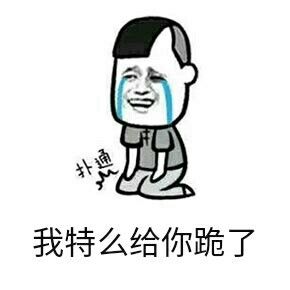 我特么给你跪了 - 这辈子是不可能原谅了_下跪_撩妹撩汉表情