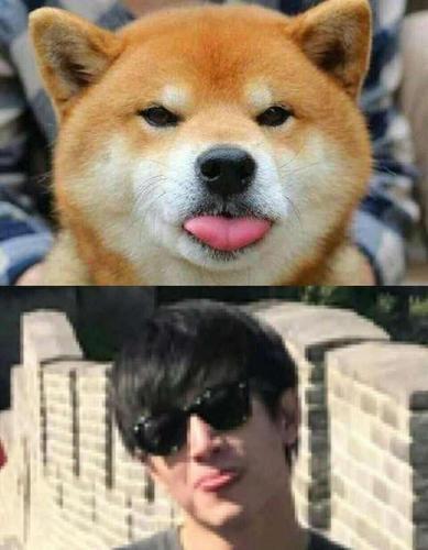 娱乐圈犬系长相男明星受欢迎,林更新最逗刘昊然最萌