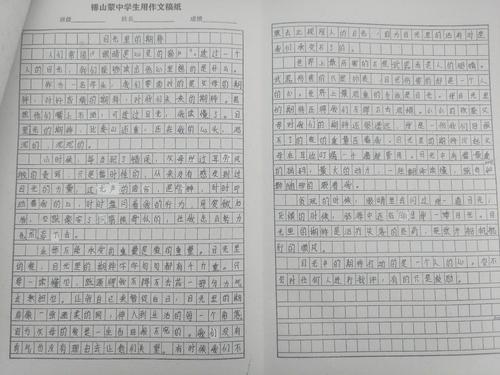 刘嘉旋假期作文