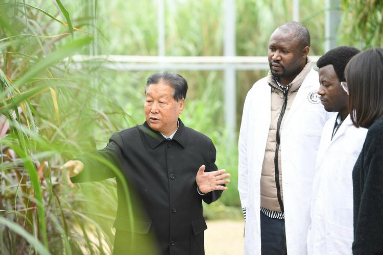 "菌草之父"林占熺  "一带一路"惠民生