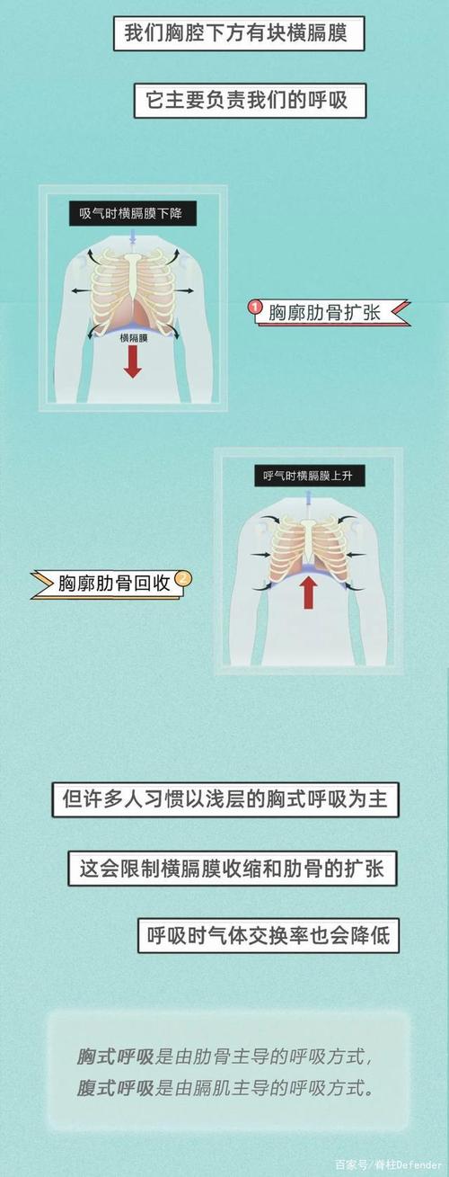 一图看懂肋骨外翻是怎么养成的