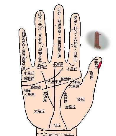从手相看你的"性趣"