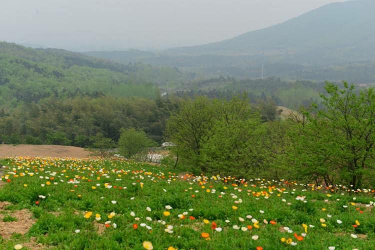 其它 曹山慢城一日游给心情放个假 写美篇 溧阳曹山旅游度假区位于